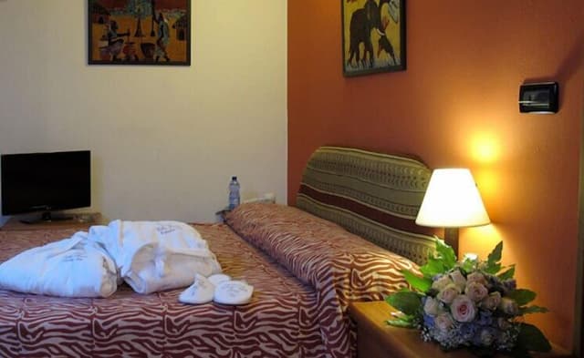 Executive Double or Twin Room