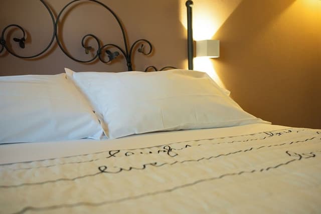 Double or Twin Room, Annex Building