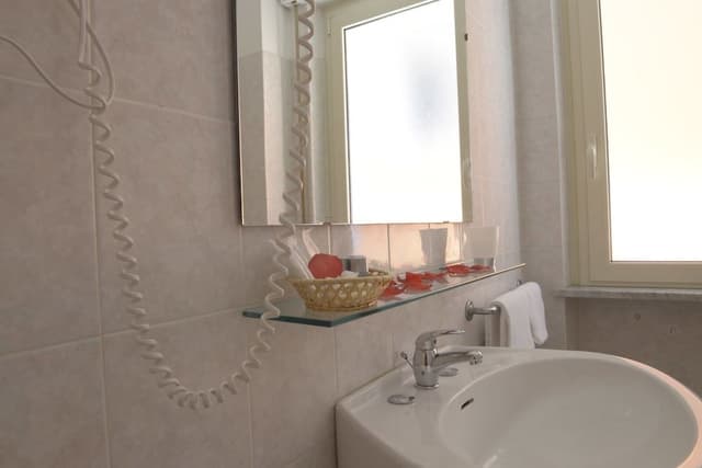 Basic Double Room
