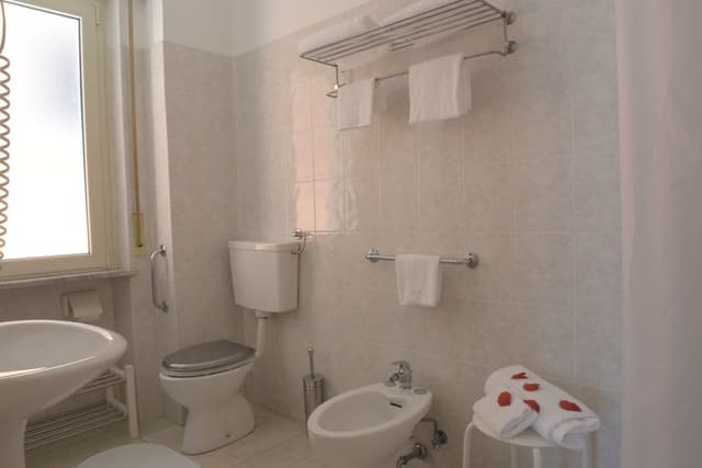 Basic Double Room
