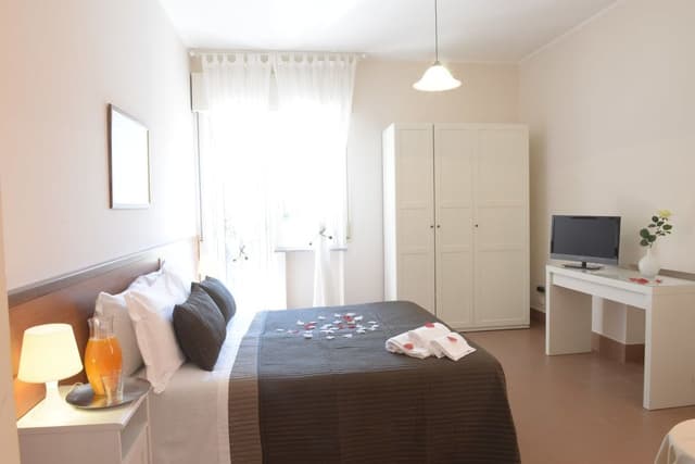 Basic Double Room