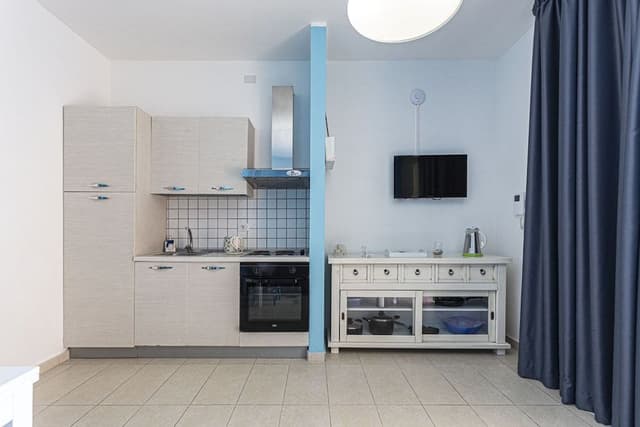 Luxury Apartment