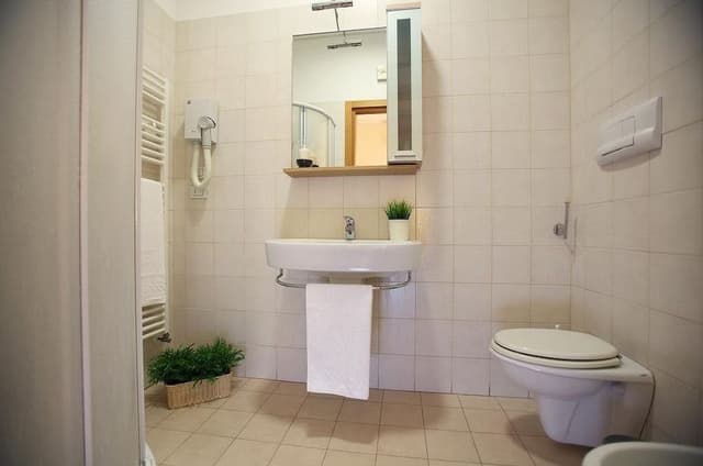 Single Room, 1 Large Twin Bed