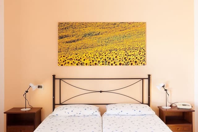 Superior Single Room