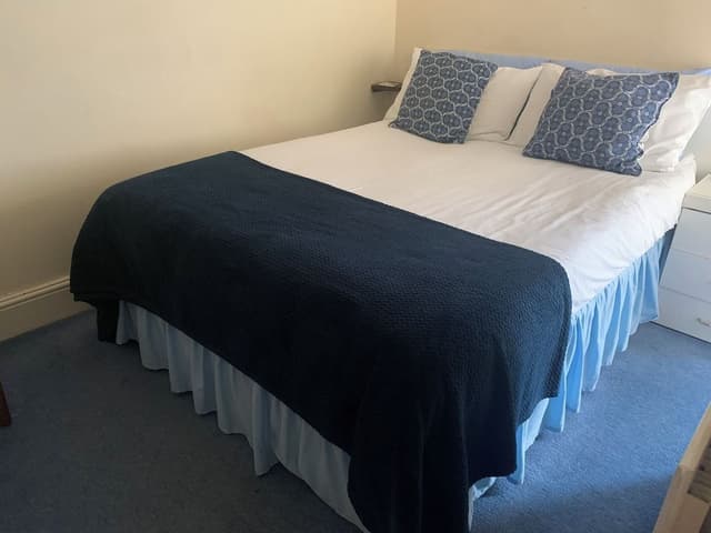Deluxe family room