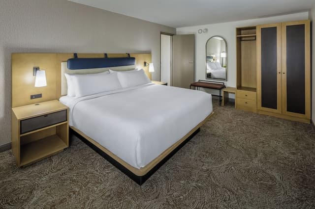 Room, 1 King Bed