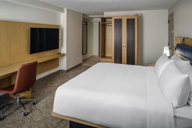 Room, 1 King Bed