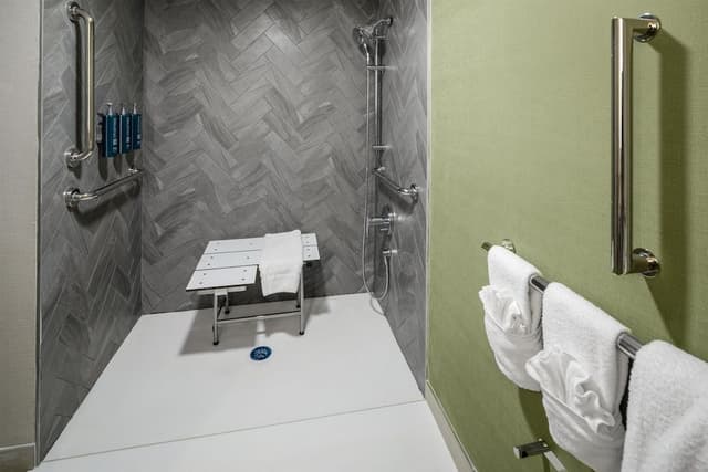 Room, 1 King Bed, Accessible (Mobility & Hearing, Roll-In Shower)