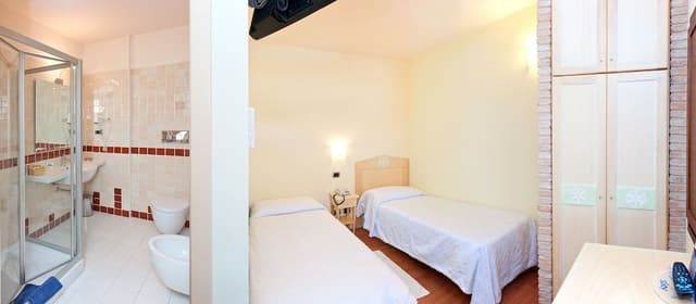 Economy Twin Room