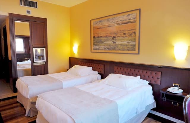 Standard Twin Room, 2 Twin Beds