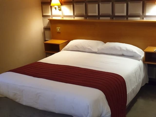 Deluxe Double Room, 1 King Bed, Non Smoking