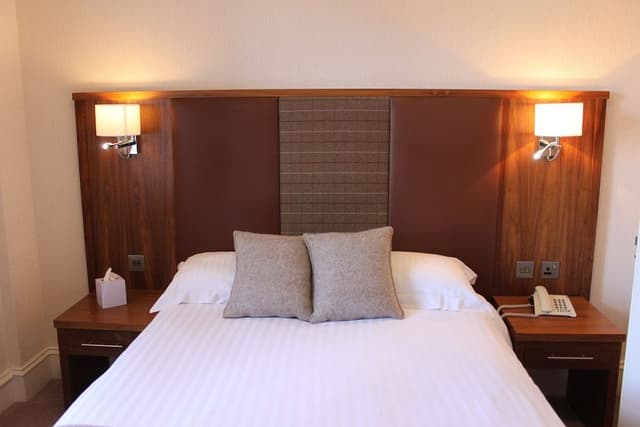 Double Room Single Use, 1 Double Bed