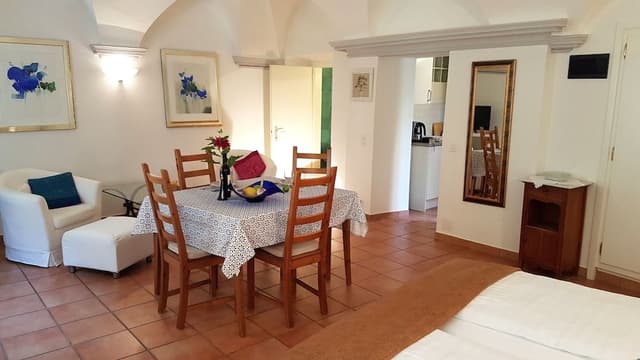 Superior Studio, 1 Double Bed, Terrace, Courtyard Area (Apartment Nr. 9)
