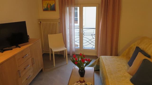 Apartment, 1 Bedroom (Apartment Nr. 17)