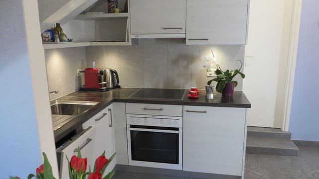 Superior Apartment, 1 Bedroom (Apartment Nr. 18)