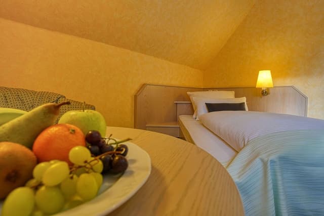 Comfort Single Room, Accessible