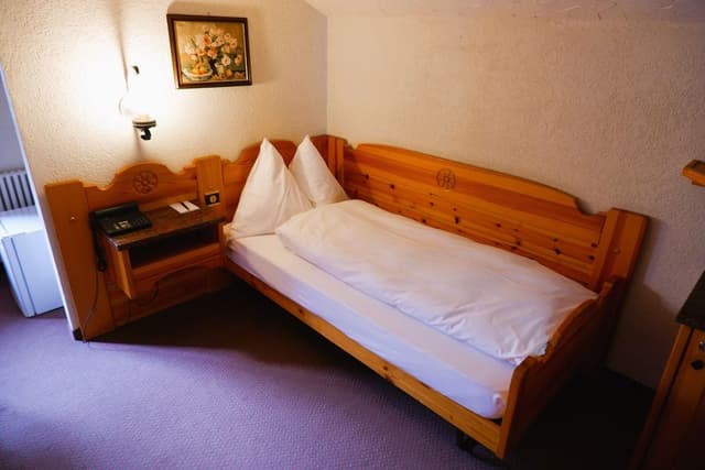 Economy Single Room, Mountain View