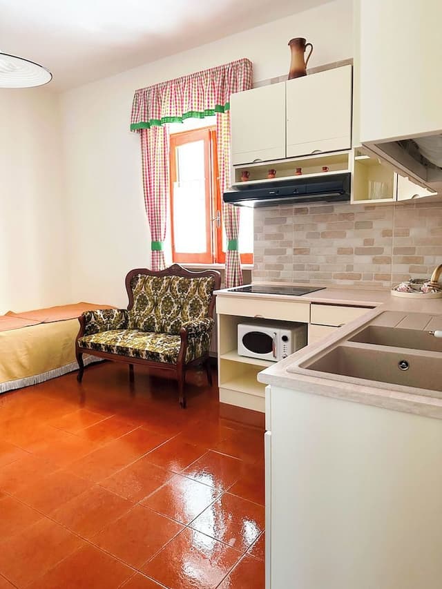 Luxury Apartment, 1 Bedroom, Kitchenette (Quadruple )
