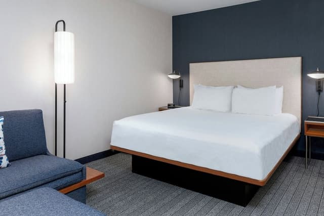 Room, 1 King Bed with Sofa bed