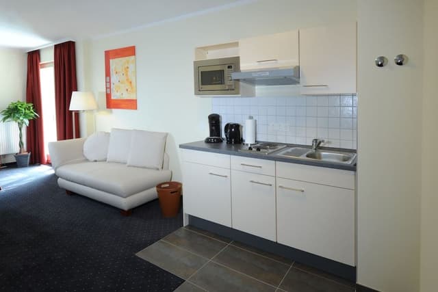 Superior Apartment, 1 King Bed with Sofa bed, Kitchen