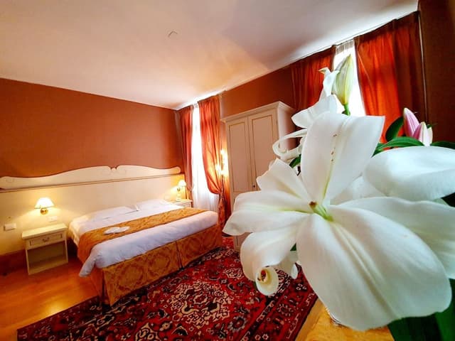 Classic Double or Twin Room