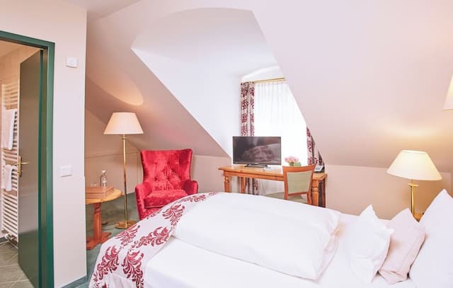 Superior Single Room