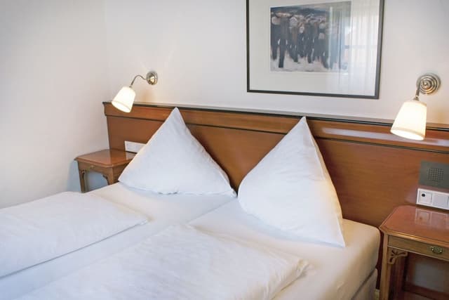 Deluxe Suite, Mountain View