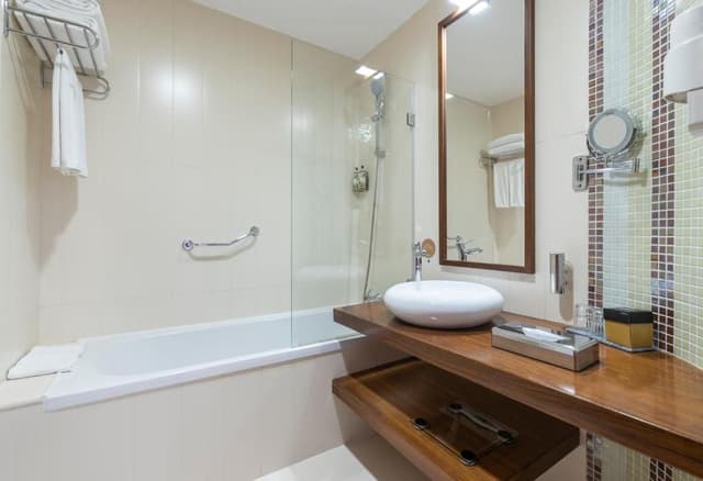Superior Double or Twin Room