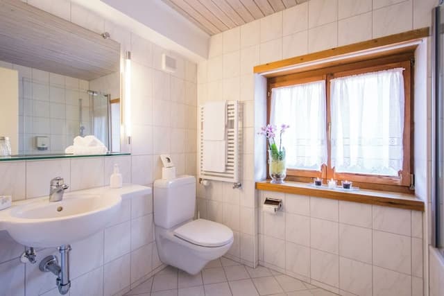 Classic Double Room, Mountain View