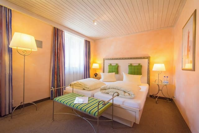 Classic Double Room, Mountain View