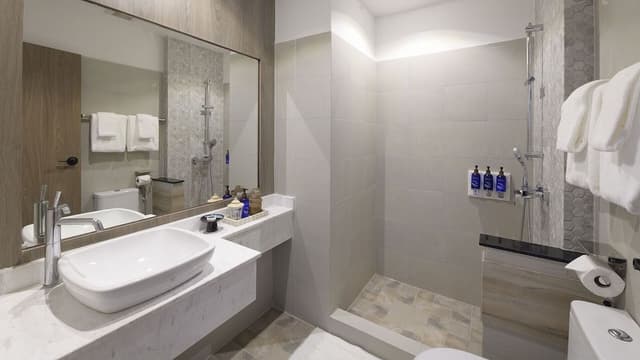 Deluxe King Suite