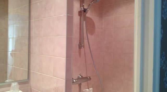 Standard Double Room (douche)