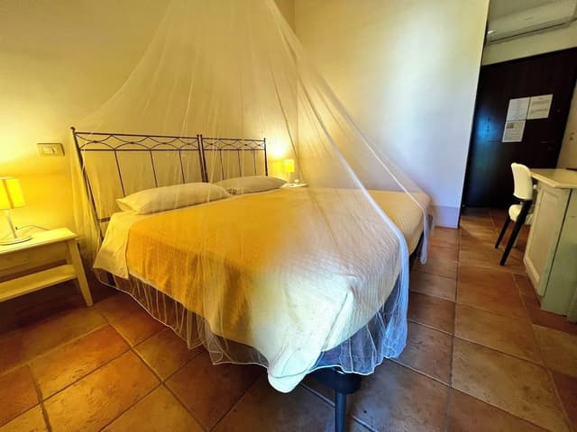 Basic Double or Twin Room