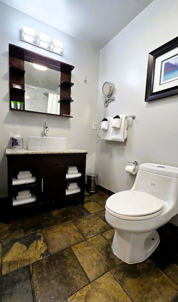 Luxury Condo, 1 Bedroom, Balcony, Mountain View