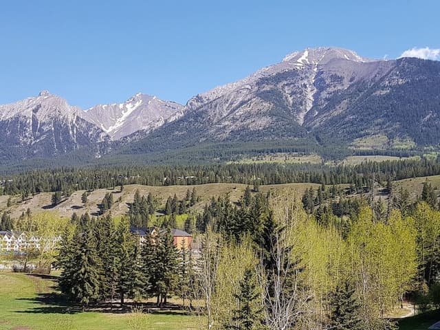 Luxury Condo, 2 Bedrooms, Balcony, Mountain View