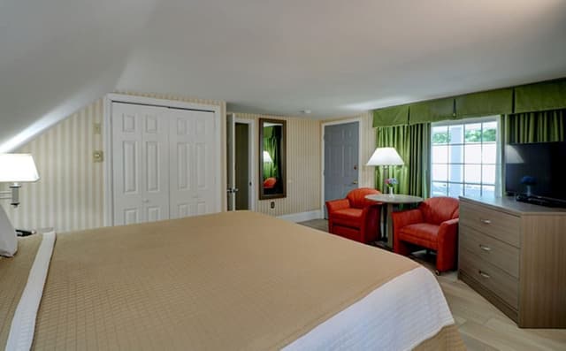 Apartment, 1 King Bed with Sofa bed