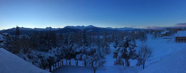 Superior Double Room, Multiple Beds, Balcony, Mountainside