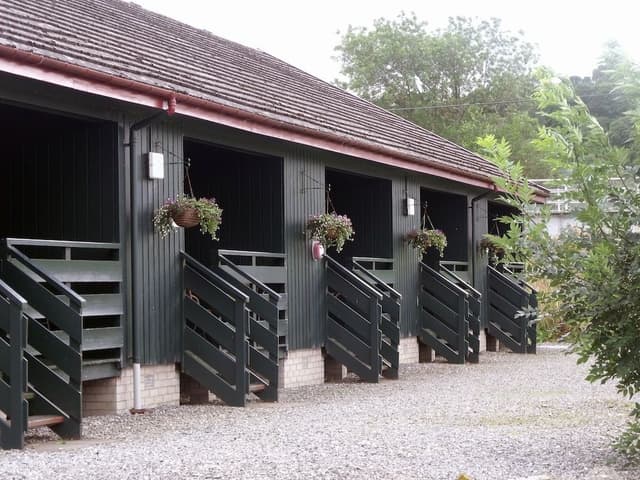 Chalet, 1 Double Bed, Terrace