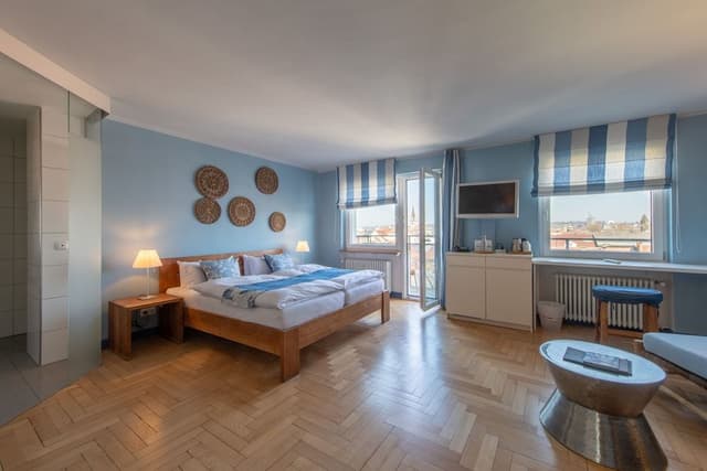 Superior Double Room, 1 King Bed with Sofa bed (Plus)
