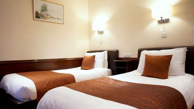 Basic Twin Room