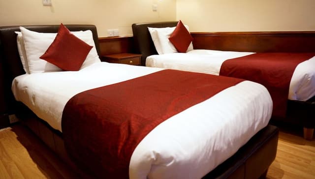 Basic Twin Room