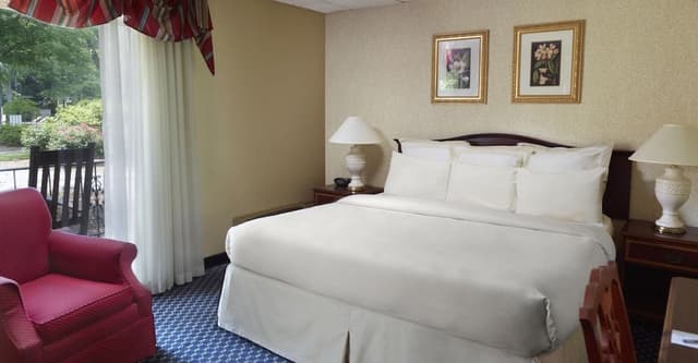 Suite, 1 King Bed (Studio King Room)