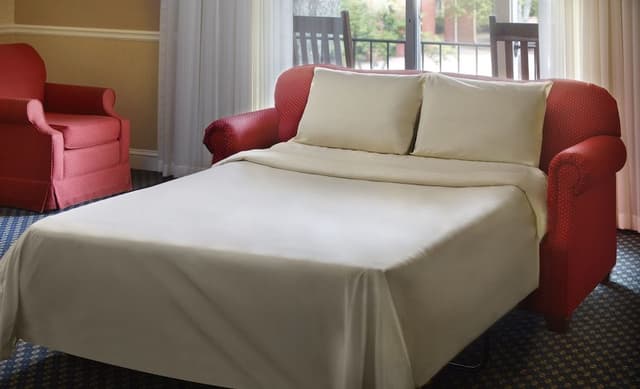 Deluxe Room, Multiple Beds (Two Double and Two Twin Trundle Beds )