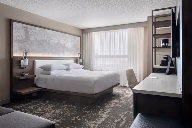 Room, 1 King Bed
