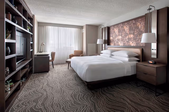 Room, 1 King Bed