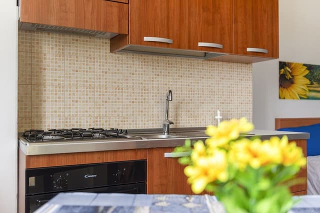 Standard Condo