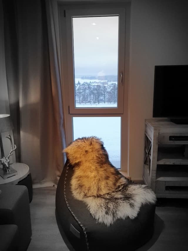 Deluxe Condo, Private Pool (Berg Lodge, inkl. 95€ Reinigung)