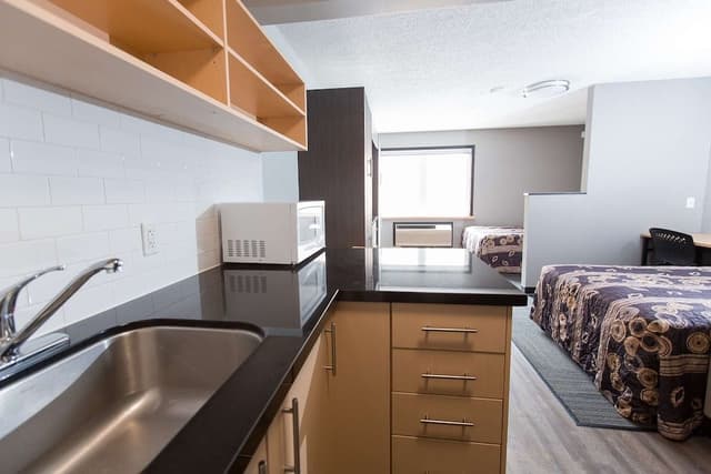 Studio Suite, 2 Double Beds