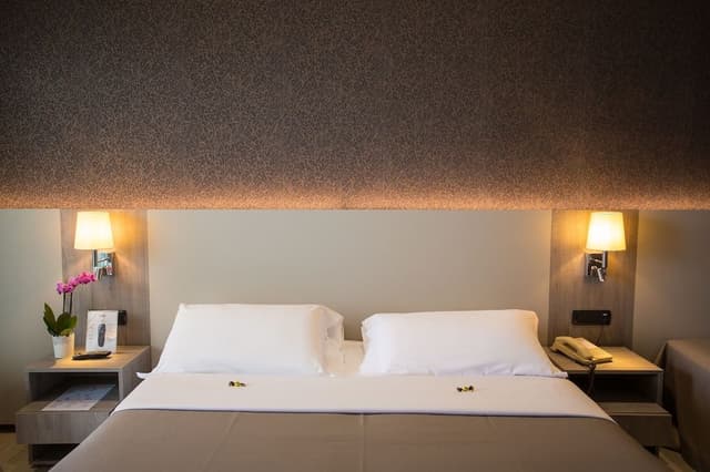 Standard Double Room Single Use, Balcony, Sea View