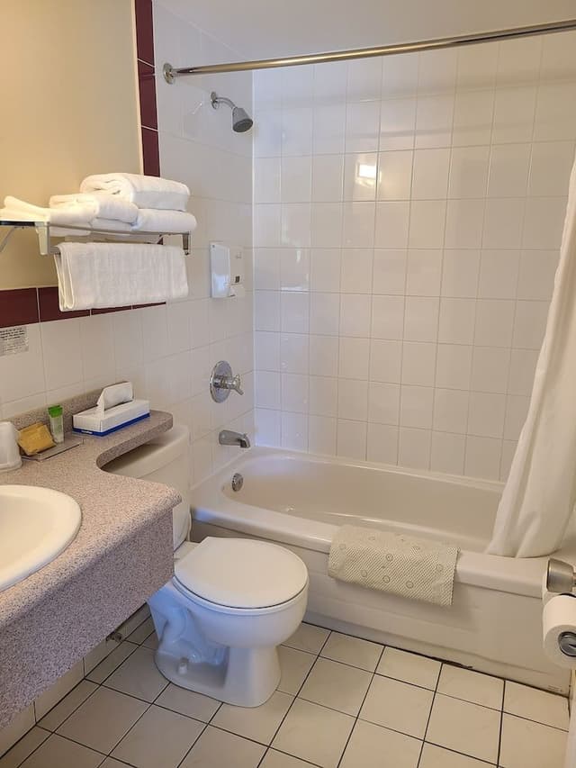 Room, 1 Queen Bed, Refrigerator & Microwave, Lake View